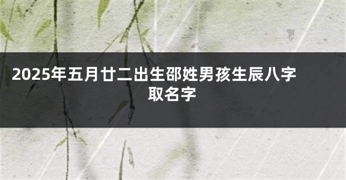 2025年五月廿二出生邵姓男孩生辰八字取名字