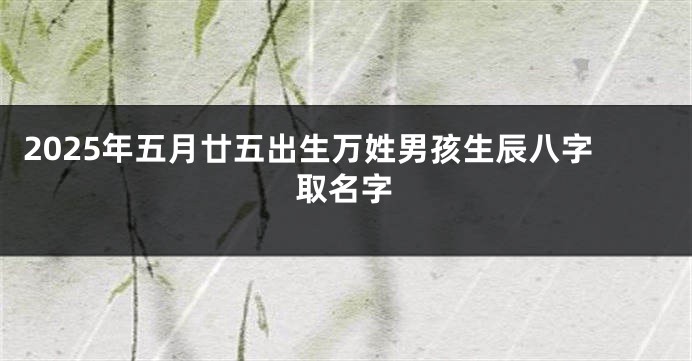 2025年五月廿五出生万姓男孩生辰八字取名字