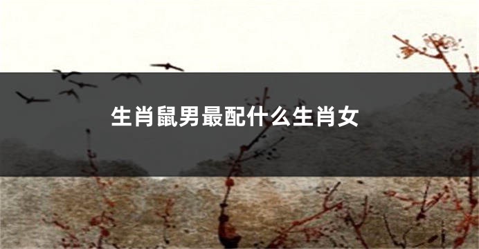 生肖鼠男最配什么生肖女