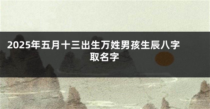 2025年五月十三出生万姓男孩生辰八字取名字