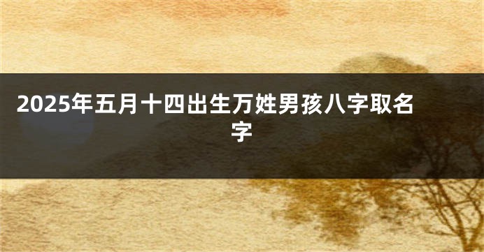 2025年五月十四出生万姓男孩八字取名字