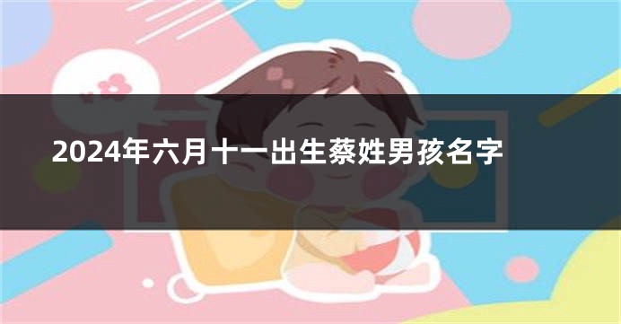 2024年六月十一出生蔡姓男孩名字