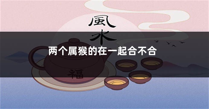 两个属猴的在一起合不合