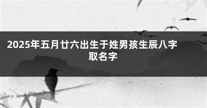 2025年五月廿六出生于姓男孩生辰八字取名字