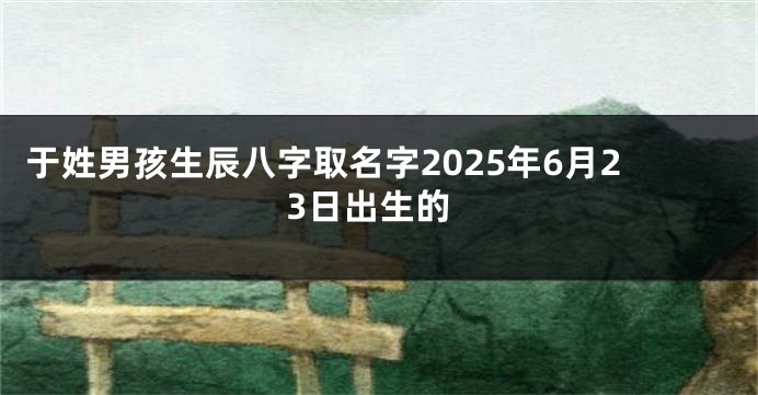 于姓男孩生辰八字取名字2025年6月23日出生的