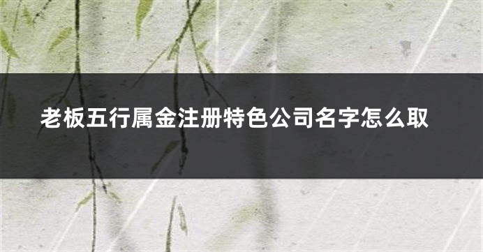 老板五行属金注册特色公司名字怎么取