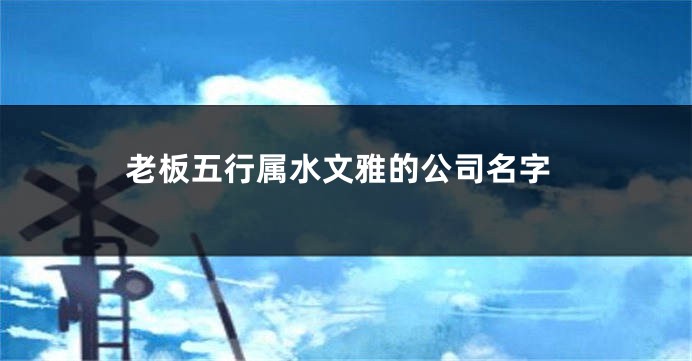 老板五行属水文雅的公司名字