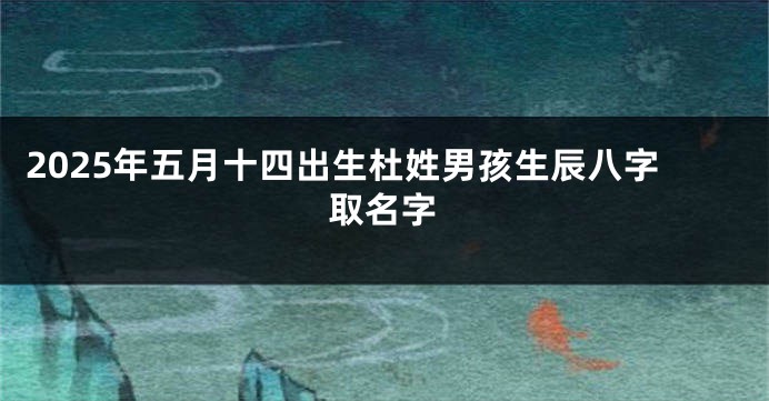 2025年五月十四出生杜姓男孩生辰八字取名字