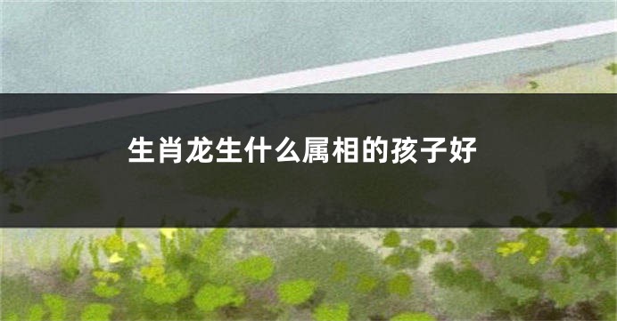 生肖龙生什么属相的孩子好