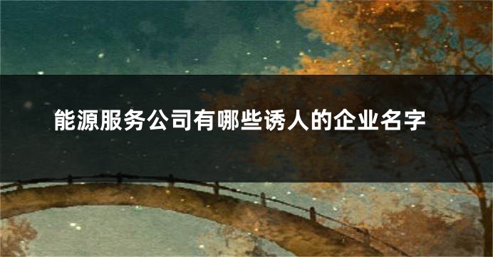 能源服务公司有哪些诱人的企业名字