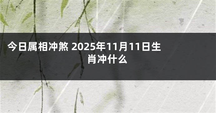 今日属相冲煞 2025年11月11日生肖冲什么