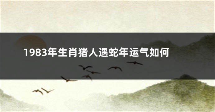 1983年生肖猪人遇蛇年运气如何