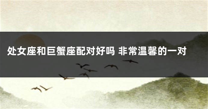 处女座和巨蟹座配对好吗 非常温馨的一对