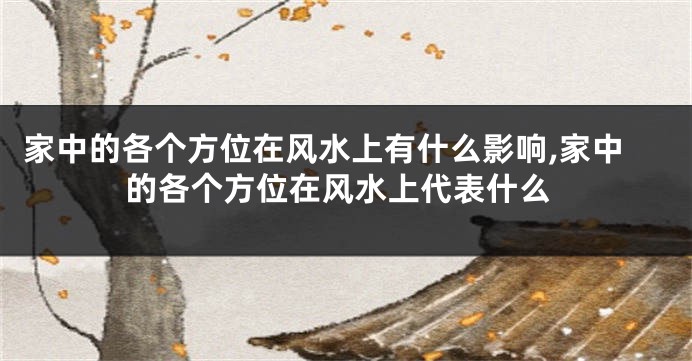 家中的各个方位在风水上有什么影响,家中的各个方位在风水上代表什么