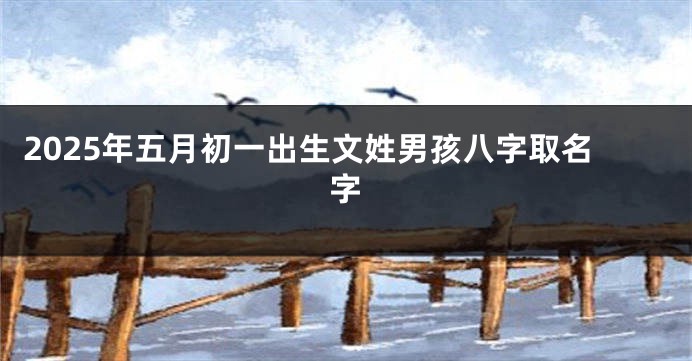 2025年五月初一出生文姓男孩八字取名字