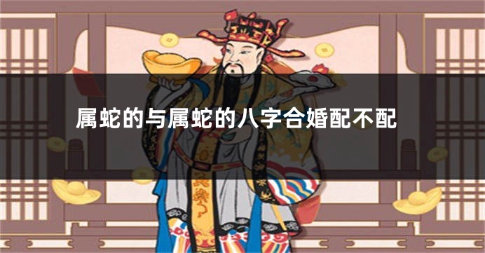属蛇的与属蛇的八字合婚配不配