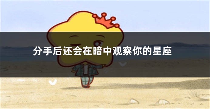 分手后还会在暗中观察你的星座