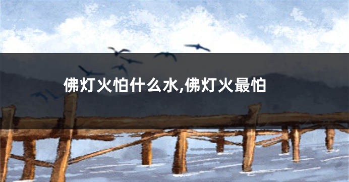 佛灯火怕什么水,佛灯火最怕