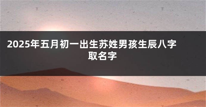 2025年五月初一出生苏姓男孩生辰八字取名字