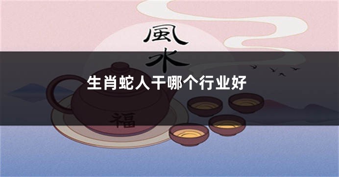 生肖蛇人干哪个行业好