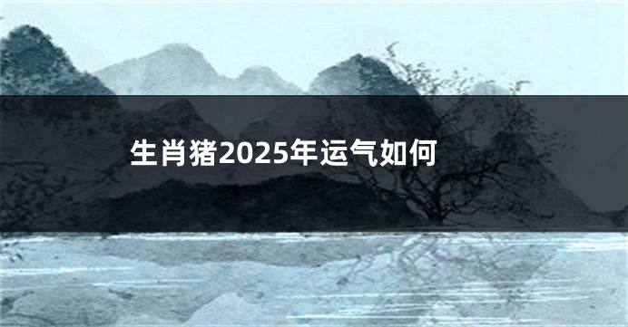 生肖猪2025年运气如何