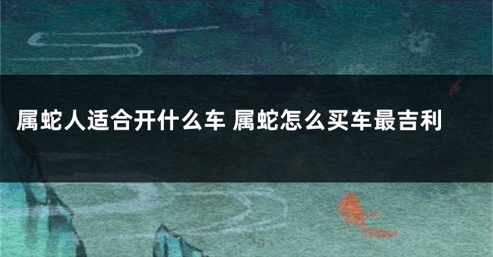 属蛇人适合开什么车 属蛇怎么买车最吉利