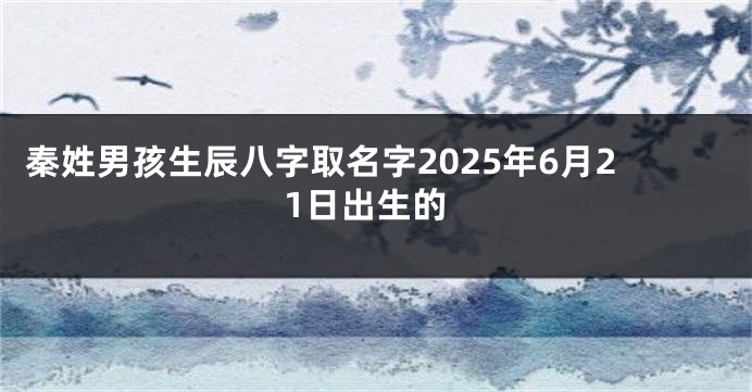 秦姓男孩生辰八字取名字2025年6月21日出生的