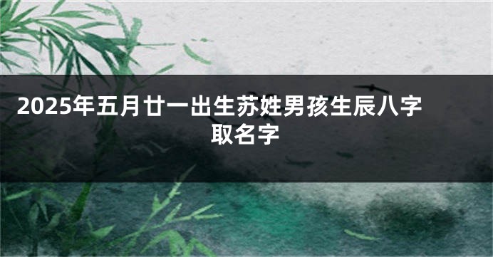 2025年五月廿一出生苏姓男孩生辰八字取名字