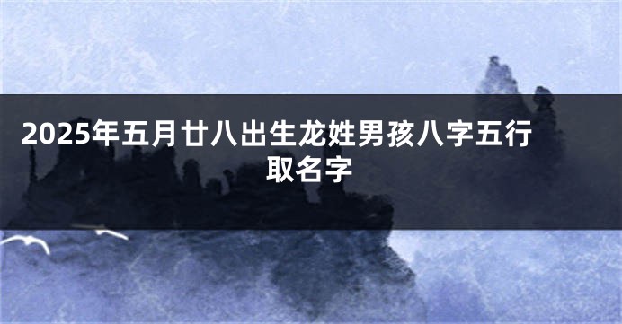 2025年五月廿八出生龙姓男孩八字五行取名字