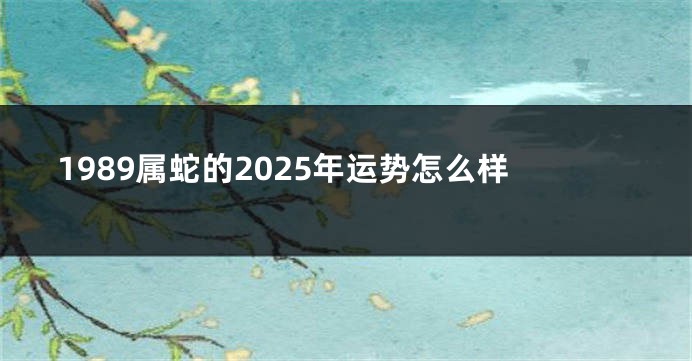 1989属蛇的2025年运势怎么样