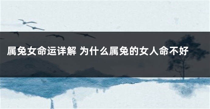 属兔女命运详解 为什么属兔的女人命不好