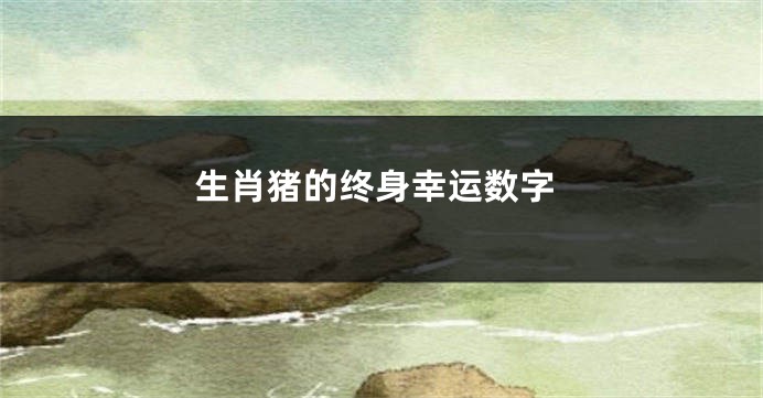 生肖猪的终身幸运数字