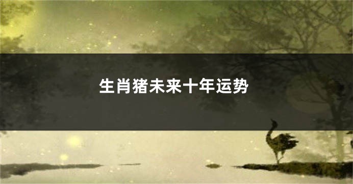 生肖猪未来十年运势