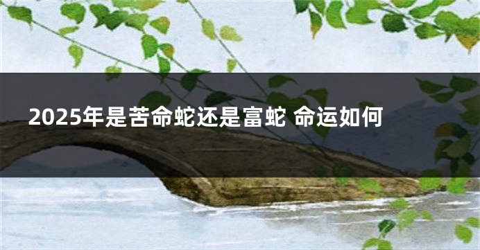 2025年是苦命蛇还是富蛇 命运如何