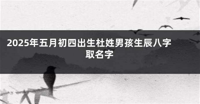 2025年五月初四出生杜姓男孩生辰八字取名字