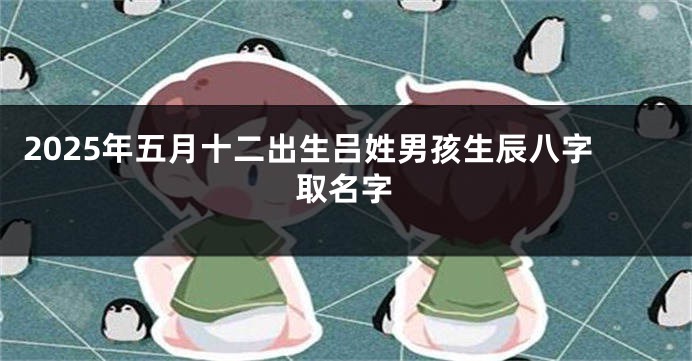 2025年五月十二出生吕姓男孩生辰八字取名字
