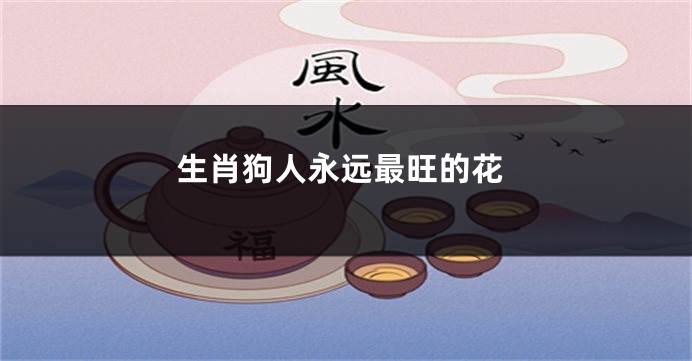 生肖狗人永远最旺的花