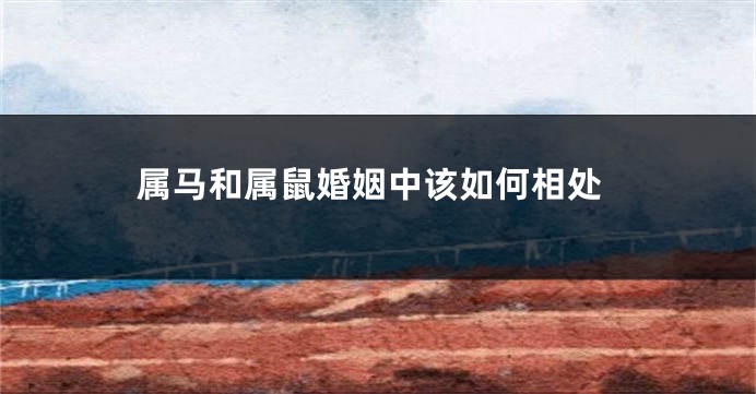 属马和属鼠婚姻中该如何相处