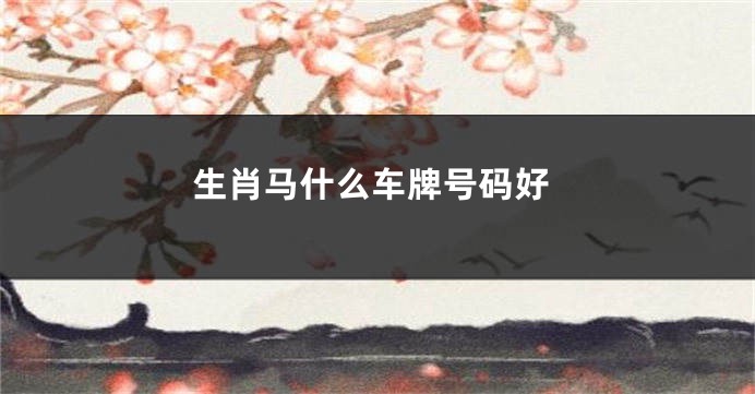 生肖马什么车牌号码好