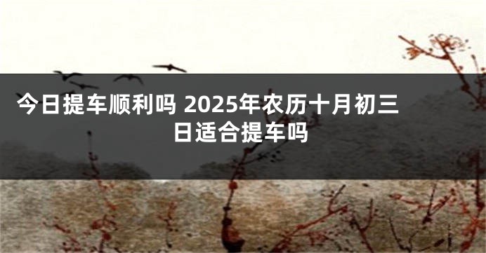 今日提车顺利吗 2025年农历十月初三日适合提车吗
