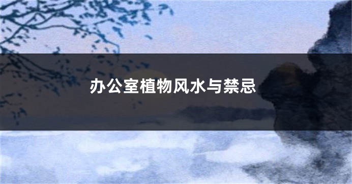 办公室植物风水与禁忌