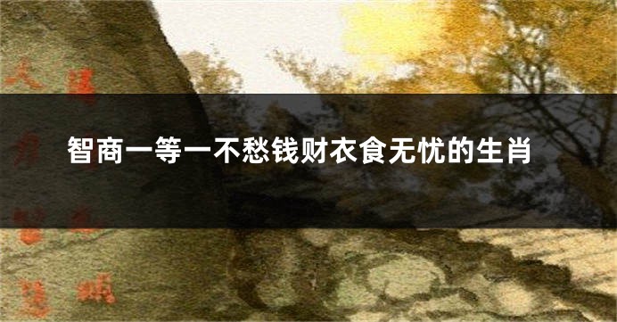 智商一等一不愁钱财衣食无忧的生肖