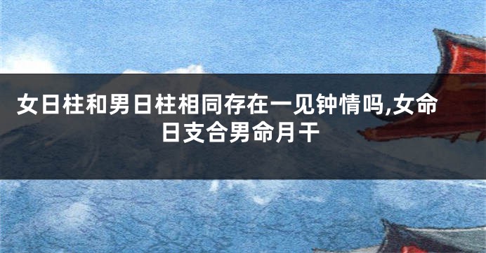 女日柱和男日柱相同存在一见钟情吗,女命日支合男命月干