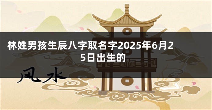 林姓男孩生辰八字取名字2025年6月25日出生的