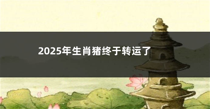 2025年生肖猪终于转运了