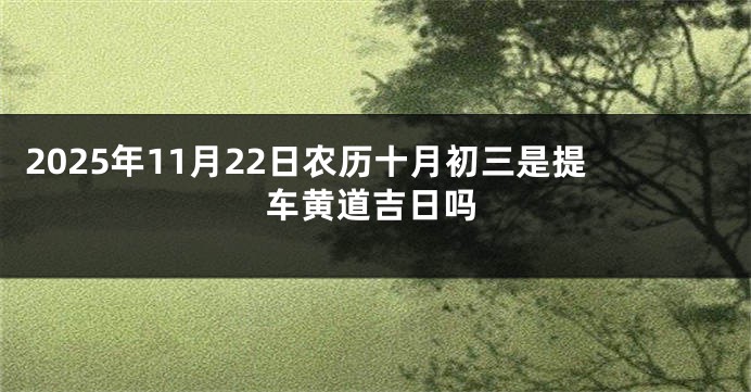 2025年11月22日农历十月初三是提车黄道吉日吗