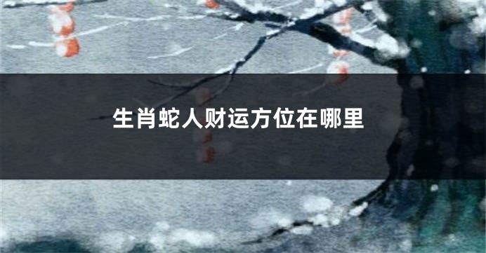 生肖蛇人财运方位在哪里