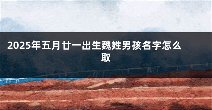2025年五月廿一出生魏姓男孩名字怎么取