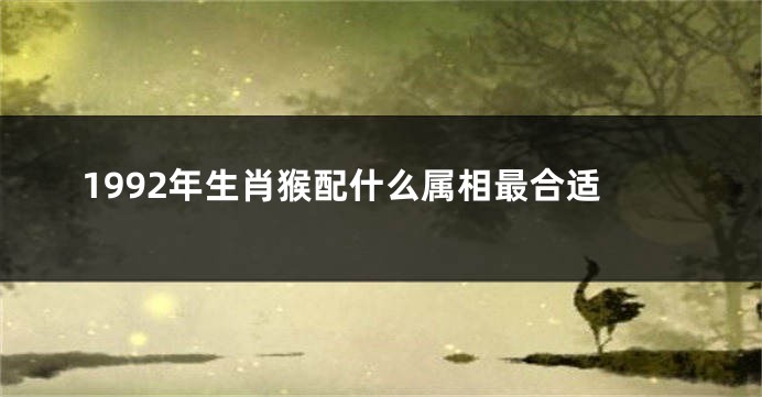 1992年生肖猴配什么属相最合适
