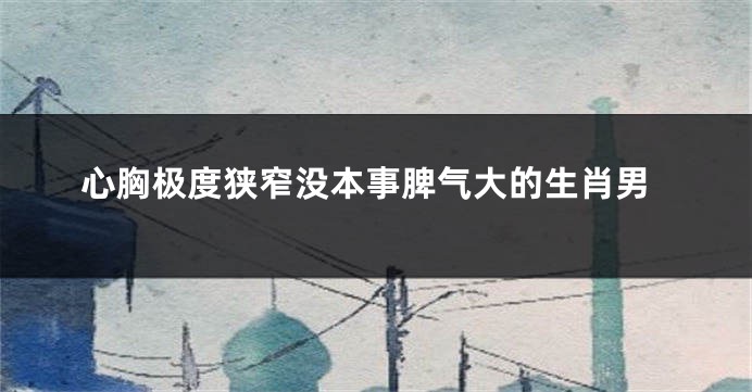 心胸极度狭窄没本事脾气大的生肖男